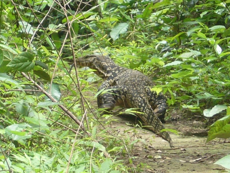 Travel - Thailand - Kanchanaburi - National Park